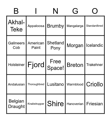 Equine Bingo Card