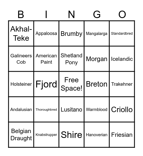 Equine Bingo Card