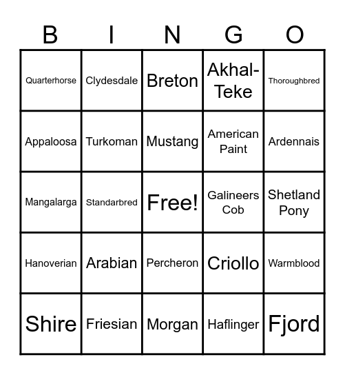 Equine Bingo 1 Bingo Card