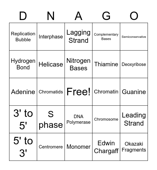 DNA Structure & Replication Review Bingo Card