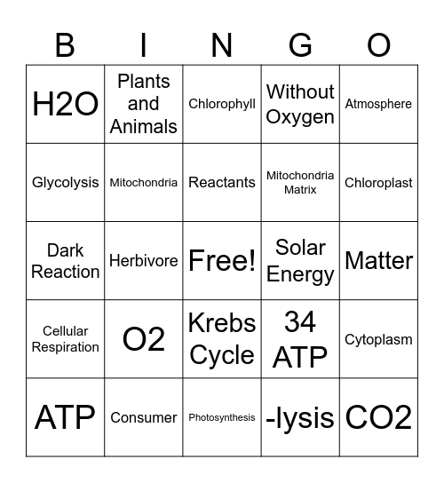 Energetics BINGO Card