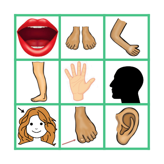 BODY PARTS Bingo Card