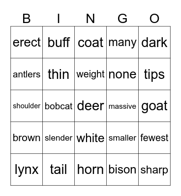 animals Bingo Card