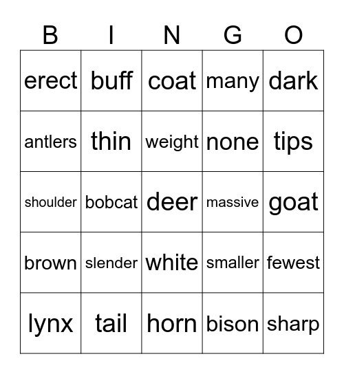 animals Bingo Card