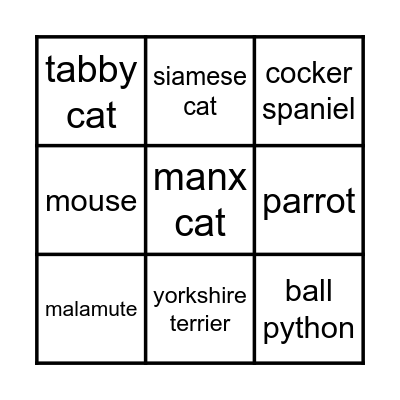 PETS Bingo Card