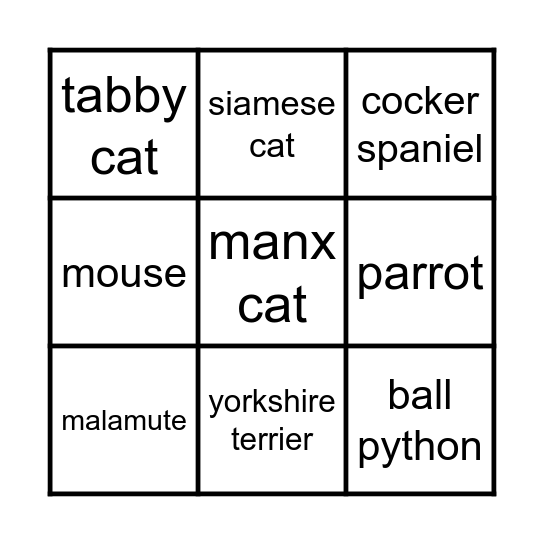 PETS Bingo Card