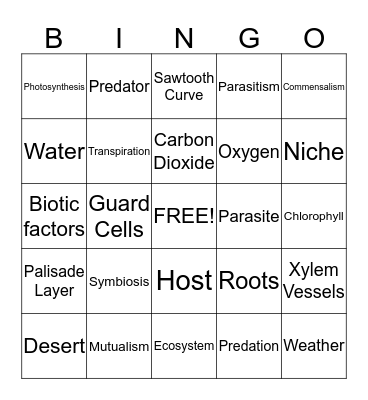 Photosynthesis Bingo Card