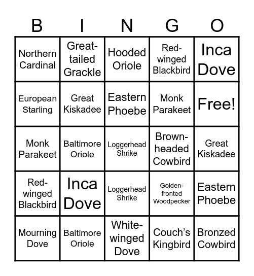 Bird Bingo! Bingo Card