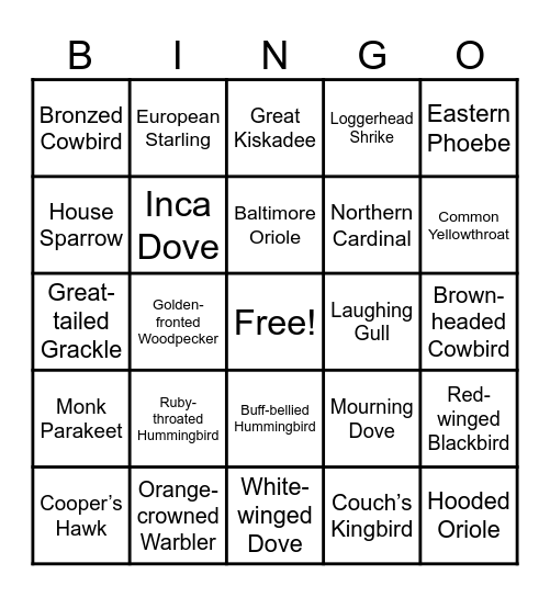 Backyard Bird Bingo! Bingo Card