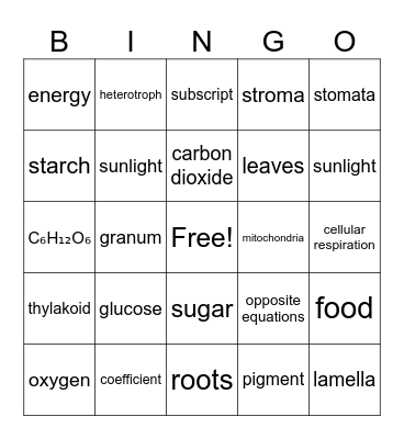 Cellular Energy BINGO Review Bingo Card