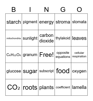 BINGO Review Cell Energy Bingo Card