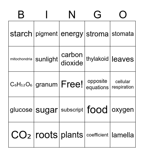 BINGO Review Cell Energy Bingo Card