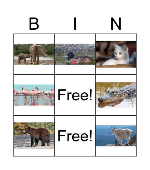 Animal Bingo Card
