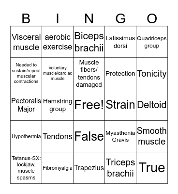 Muscular System Bingo Card