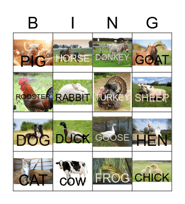 FARM ANIMALS Bingo Card