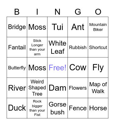 Birchville Bush Walk Bingo Card