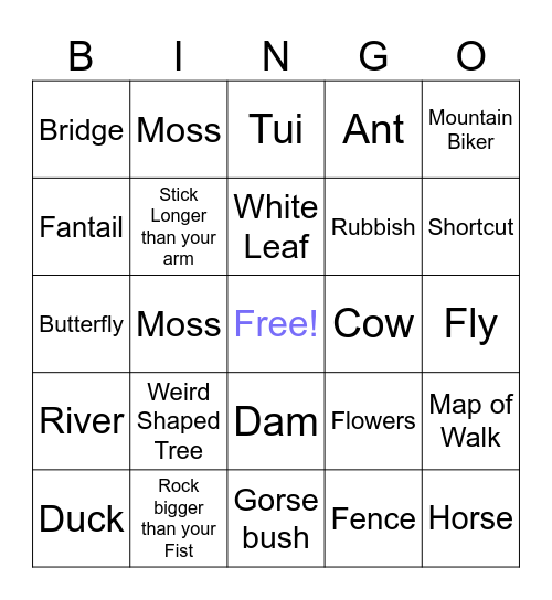 Birchville Bush Walk Bingo Card