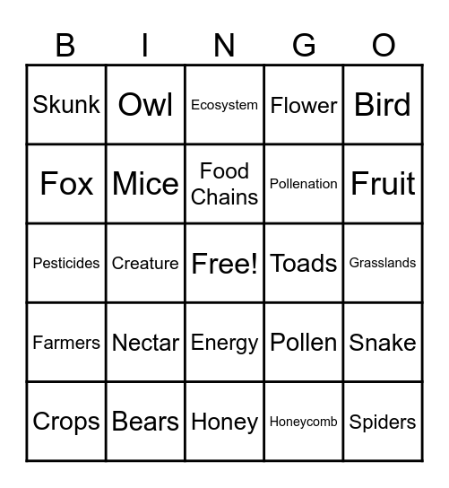 What If There Were No Bees Bingo Card