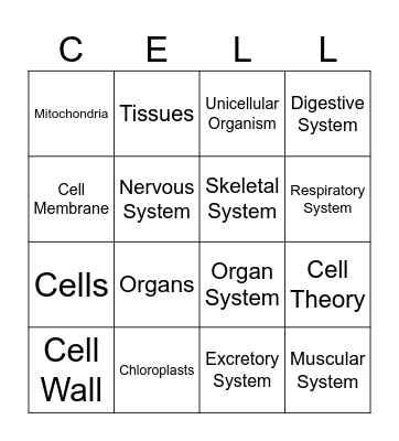 Benchmark Bingo Q1 Bingo Card