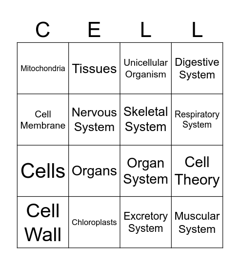 Benchmark Bingo Q1 Bingo Card