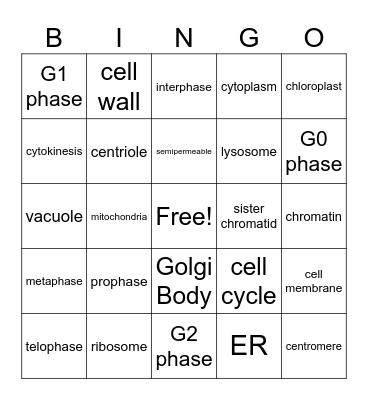 Cell Parts and Mitosis Bingo Card