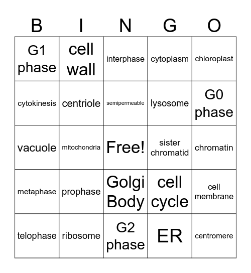 Cell Parts and Mitosis Bingo Card