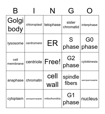 Cell Parts and Mitosis Bingo Card