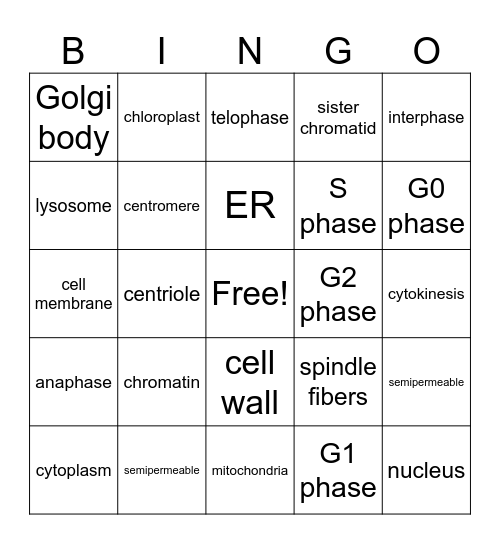 Cell Parts and Mitosis Bingo Card