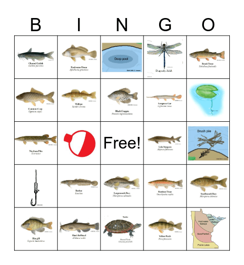 Minnesota Fish Bingo Card