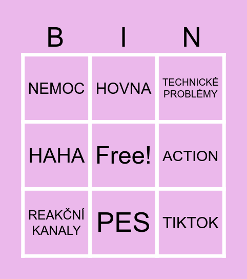 VLADĚNA PLUS Bingo Card