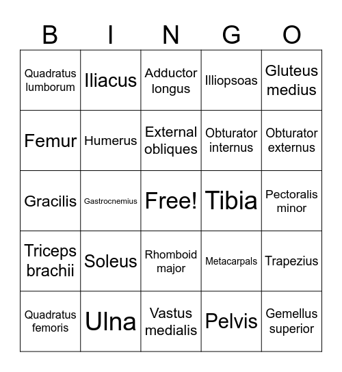 The Skeletal & Muscular System Bingo Card