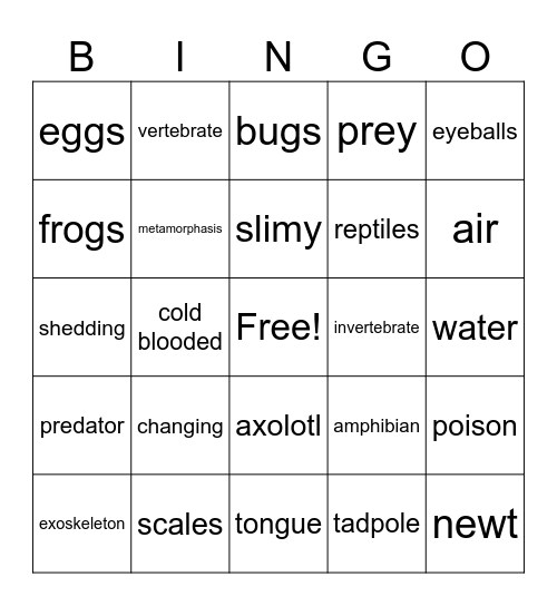 amphibians Bingo Card