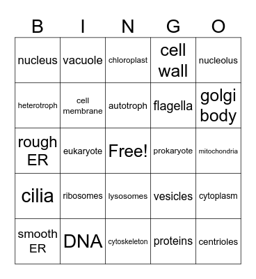 Organelles Bingo Card