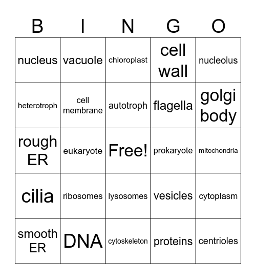 Organelles Bingo Card