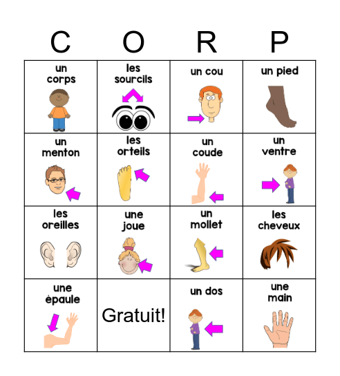 Les Parties du Corps Bingo Card