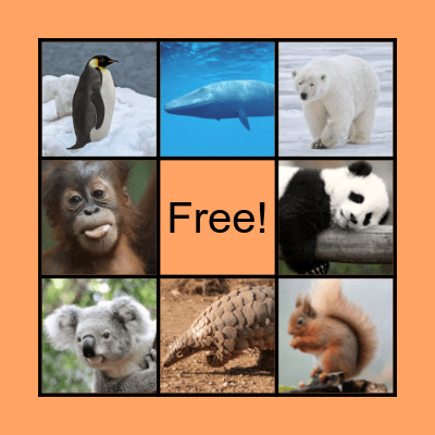 Endangered Animals Bingo Card