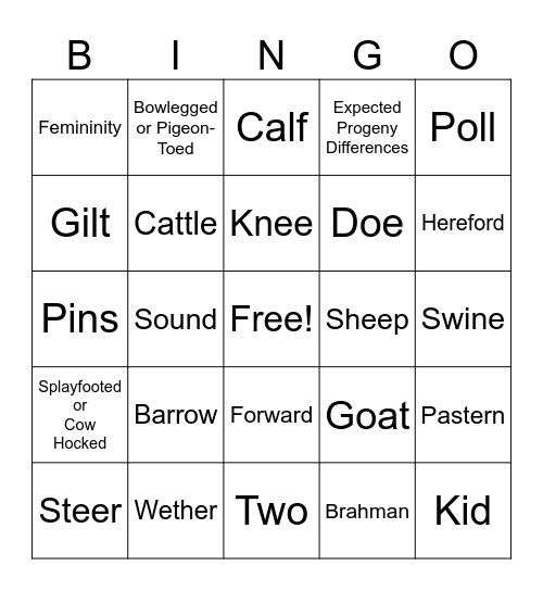 Livestock Judging Trivia Bingo Card