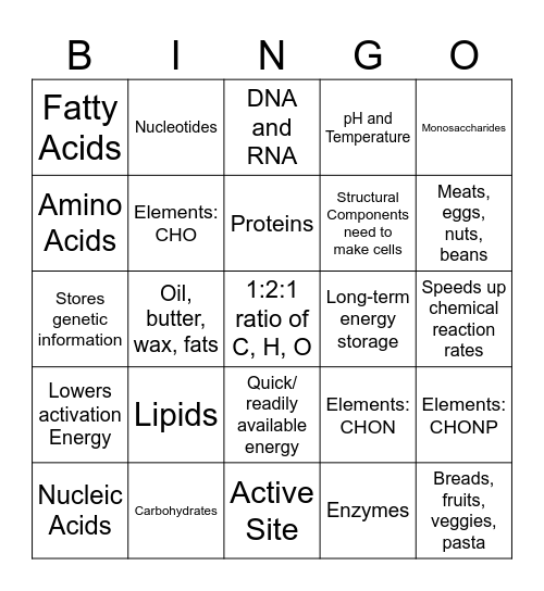 Macromolecules Bingo Card