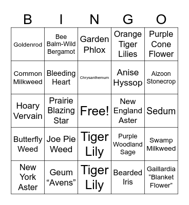 North Park's Pollinator Friendly Flowers Bingo Card