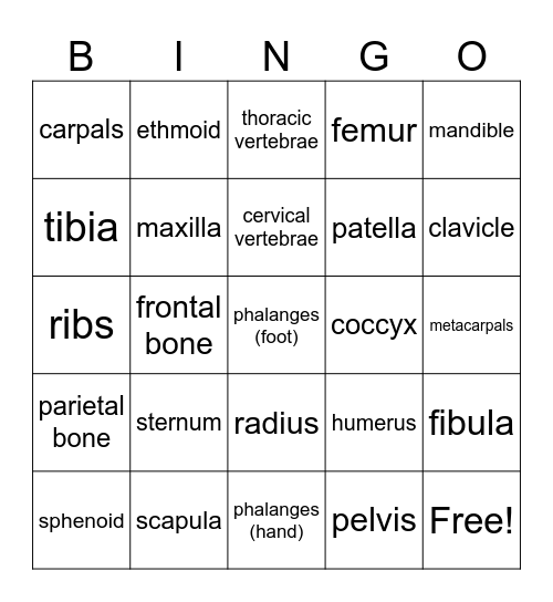 Skeletal Bingo Card