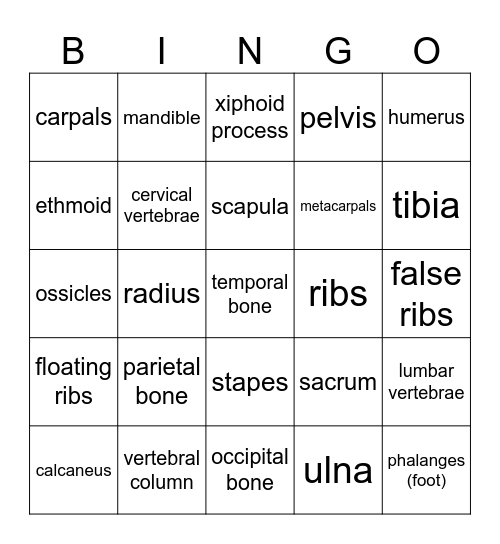 Bone Bingo Card