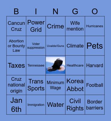 TX Senate Bingo Card