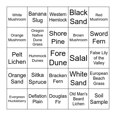 Field Study Scavenger Hunt Bingo Card
