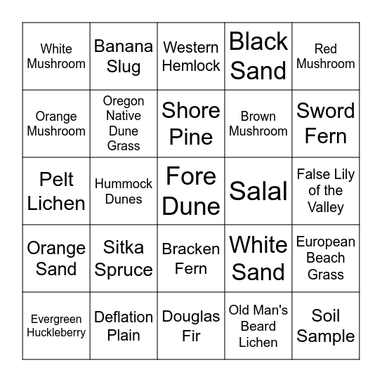 Field Study Scavenger Hunt Bingo Card