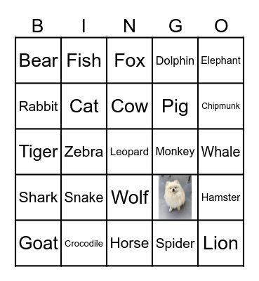 ANIMALS Bingo Card