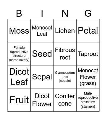 Biol 1105 - Botany Bingo Card