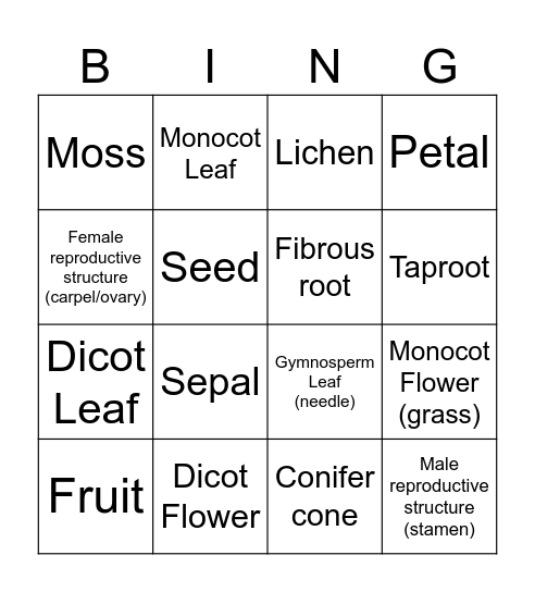 Biol 1105 - Botany Bingo Card