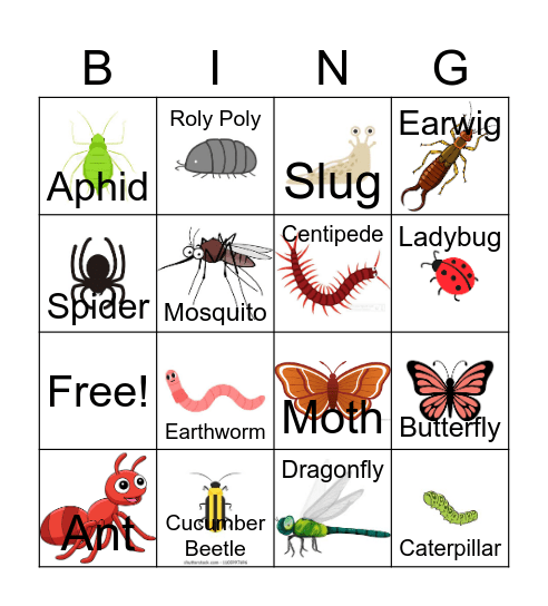 Pollinator or Pest Bingo Card