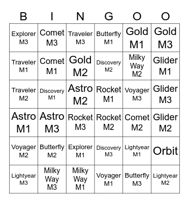 FINS Curriculum BINGO Card