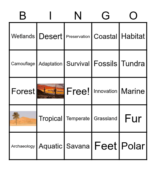 Adaptations & Habitats Bingo Card